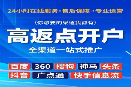 百度推广实战攻略：案例与技巧